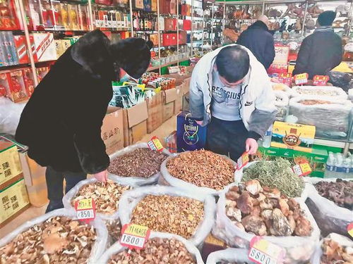 春節消費熱潮提前到來，森林食品搶抓商機